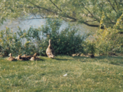 foto-1986-02